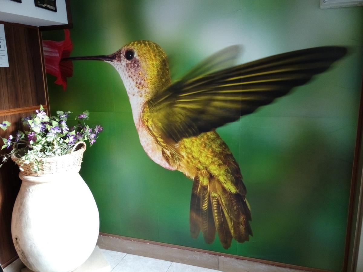 Residence Colibri Family & Bike ロアーノ エクステリア 写真